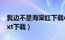 鬓边不是海棠红下载小说（鬓边不是海棠红txt下载）