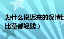 为什么说迟来的深情比草都轻贱（迟来的深情比草都轻贱）