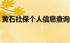 黄石社保个人信息查询（黄石社保查询系统）