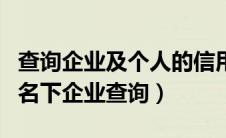 查询企业及个人的信用报告（企业信用信息与名下企业查询）