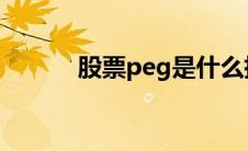 股票peg是什么指标（股票PE）