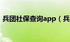 兵团社保查询app（兵团社保查询个人账户）