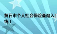 黄石市个人社会保险查询入口（黄石市个人社会保险查询系统）