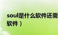 soul是什么软件还需要花钱吗（soul是什么软件）