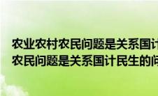 农业农村农民问题是关系国计民生的根本性问题（农业农村农民问题是关系国计民生的问题）