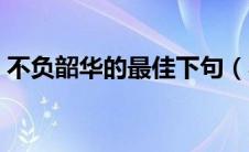 不负韶华的最佳下句（不负昭华是什么意思）