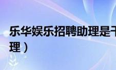 乐华娱乐招聘助理是干嘛的（乐华娱乐招聘助理）