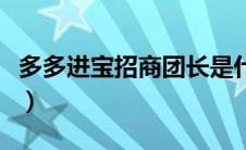 多多进宝招商团长是什么（多多金宝招商团长）