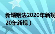 新婚姻法2020年新规离婚孩子（新婚姻法2020年新规）