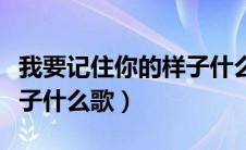 我要记住你的样子什么歌词（我要记住你的样子什么歌）