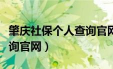 肇庆社保个人查询官网入口（肇庆社保个人查询官网）