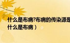 什么是布病?布病的传染源是什么?布病的主要传播途径?（什么是布病）