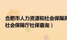 合肥市人力资源和社会保障局社保查询（合肥市人力资源和社会保障厅社保查询）