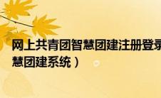 网上共青团智慧团建注册登录入口（怎样进入网上共青团智慧团建系统）