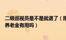 二级巡视员是不是就退了（刚晋升为二级巡视员就要退休对养老金有用吗）