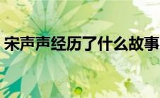 宋声声经历了什么故事（宋声声经历了什么）