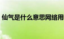 仙气是什么意思网络用语（仙气是什么意思）