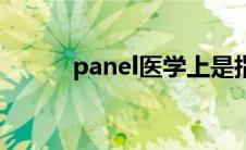 panel医学上是指什么（panel）