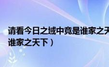 请看今日之域中竟是谁家之天下解签（请看今日之域中竟是谁家之天下）