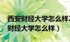 西安财经大学怎么样2022多少分录取（西安财经大学怎么样）