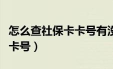 怎么查社保卡卡号有没有激活（怎么查社保卡卡号）