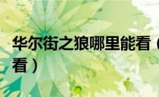 华尔街之狼哪里能看（华尔街之狼在哪里可以看）