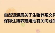 自然资源局关于生猪养殖文件内容（自然资源部办公厅关于保障生猪养殖用地有关问题的通知）