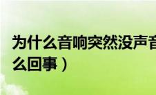 为什么音响突然没声音了（音响突然没声音怎么回事）