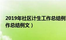 2019年社区计生工作总结例文怎么写（2019年社区计生工作总结例文）