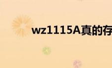 wz1115A真的存在吗（wz111）