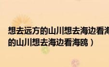 想去远方的山川想去海边看海鸥歌词忘了怎么唱（想去远方的山川想去海边看海鸥）