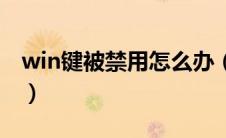 win键被禁用怎么办（win键被禁用怎么恢复）