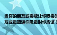 当你的朋友或毒贩让你吸毒时你应该做什么答案（当你的朋友或毒贩逼你吸毒时你应该）