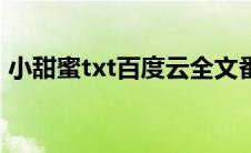 小甜蜜txt百度云全文番外（小甜蜜txt下载）