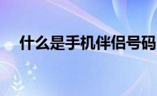 什么是手机伴侣号码（什么是手机伴侣）