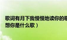 歌词有月下我慢慢地读你的歌曲（月下我慢慢的读你静静的想你是什么歌）