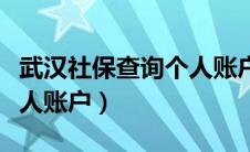 武汉社保查询个人账户余额（武汉社保查询个人账户）