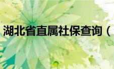 湖北省直属社保查询（湖北省省直社保查询）