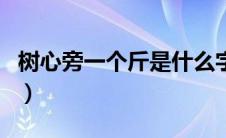 树心旁一个斤是什么字怎么读（树心旁一个斤）