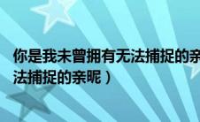 你是我未曾拥有无法捕捉的亲昵 顾逸泽（你是我未曾拥有无法捕捉的亲昵）