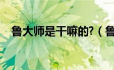 鲁大师是干嘛的?（鲁大师是做什么用的）