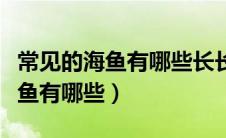 常见的海鱼有哪些长长的不是带鱼（常见的海鱼有哪些）