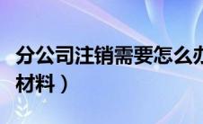 分公司注销需要怎么办理（分公司注销流程及材料）