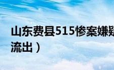 山东费县515惨案嫌疑人（山东费县515尸检流出）