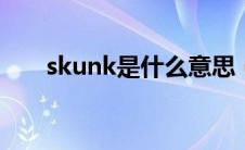 skunk是什么意思（suk是什么意思）