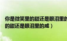 你是微笑里的甜还是眼泪里的咸是什么歌题目（你是微笑里的甜还是眼泪里的咸）