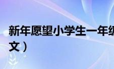 新年愿望小学生一年级作文（小学生一年级作文）