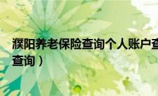 濮阳养老保险查询个人账户查询（濮阳市养老保险个人账户查询）