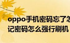 oppo手机密码忘了怎么强制刷机（oppo忘记密码怎么强行刷机）