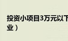 投资小项目3万元以下（什么行业适合新手创业）